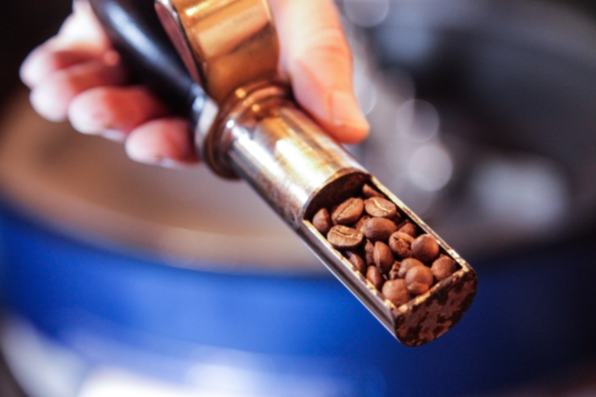 A Guide To Home Roaster Starter