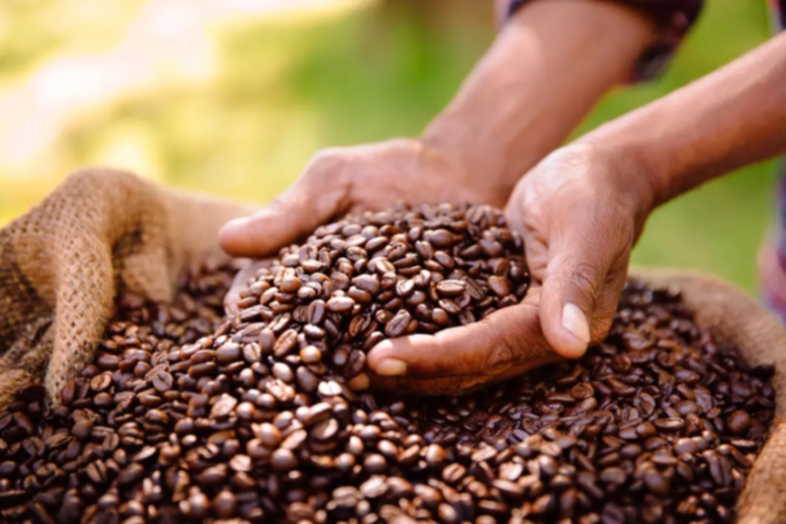 Will Coffee Run Out By 2080?